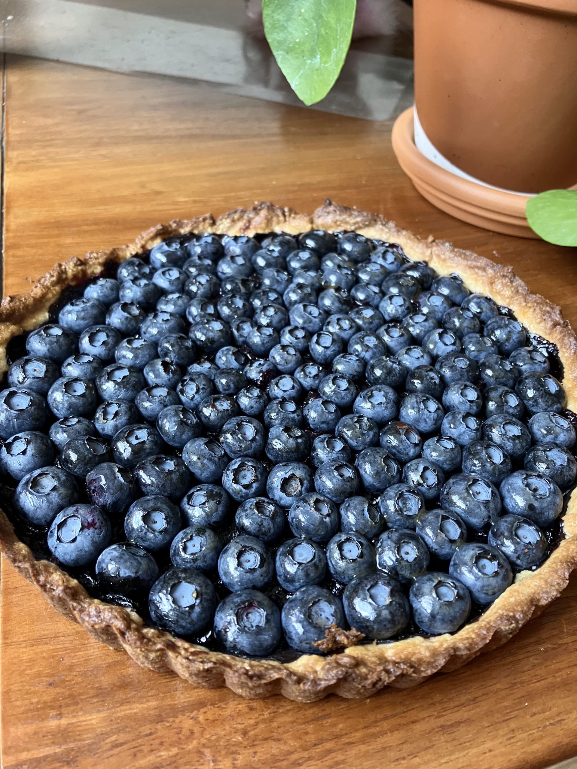 blueberry tart on a table with a plant in the corner