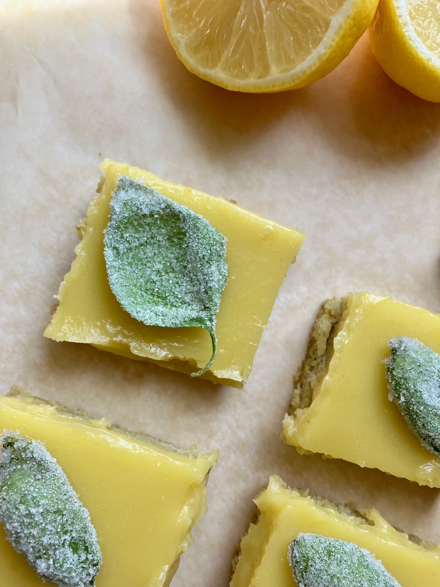 Basil lemon bars with candied basil on top