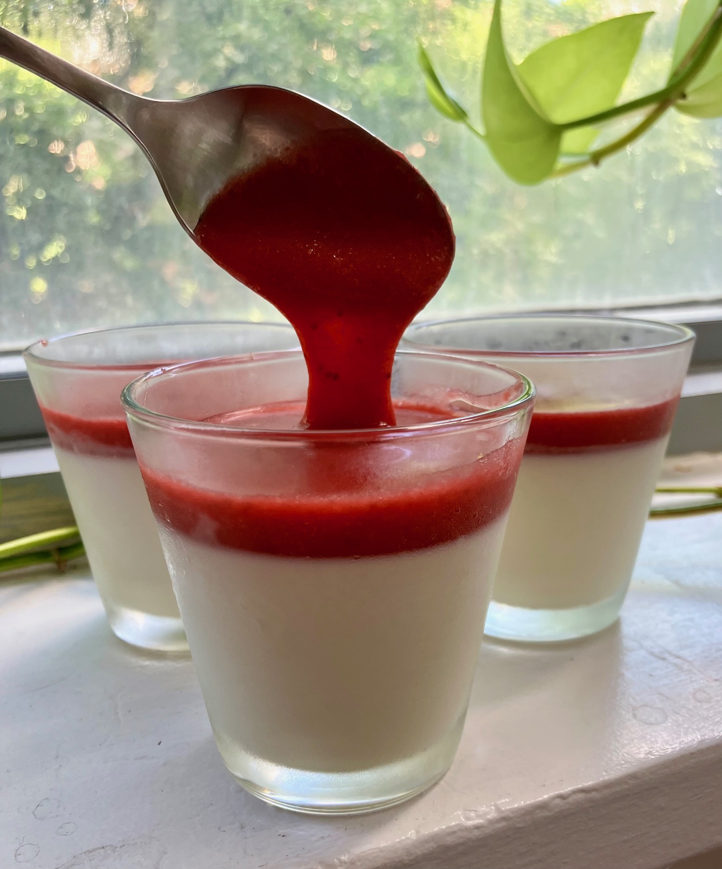 habanero strawberry panna cotta